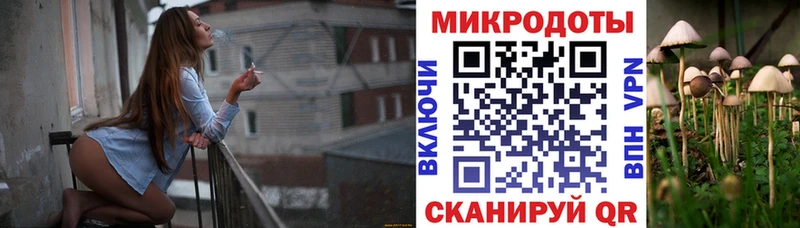 Купить где  Куйбышев  Псилоцибиновые грибы Psilocybe 